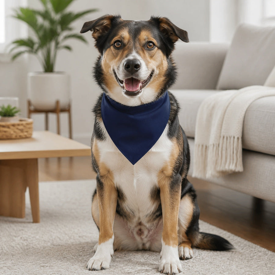 Navy Cotton Pet Bandana
