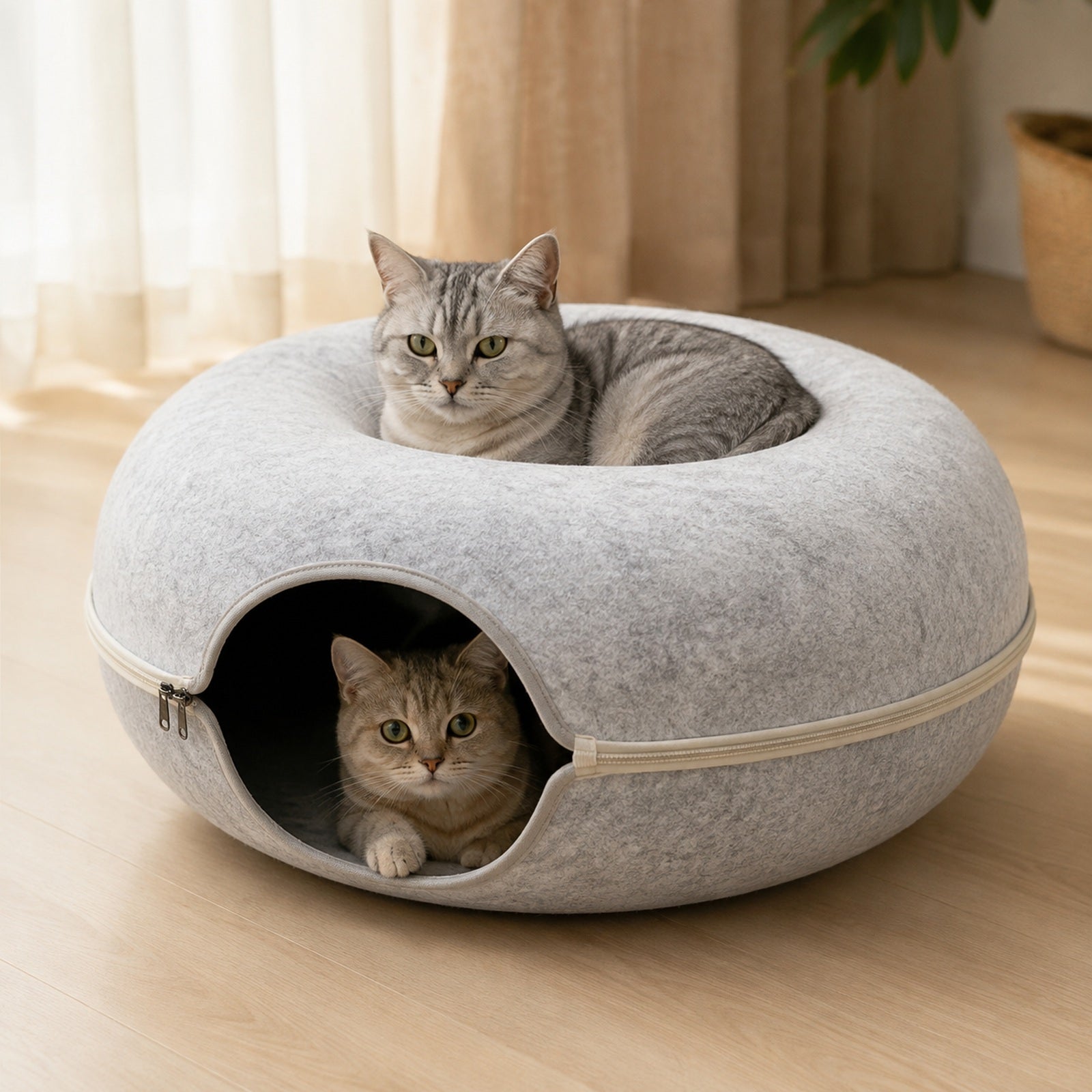Cat relaxing beside a felt donut tunnel
