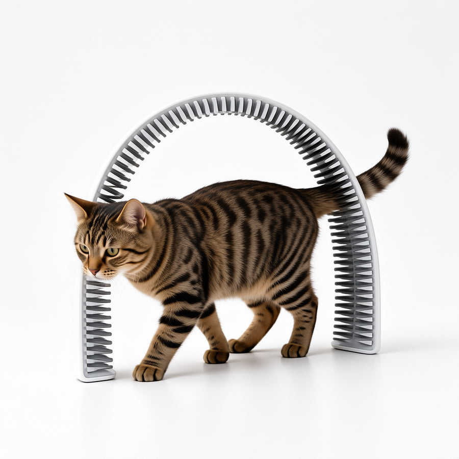 Arch Cat Self-Groomer with Base — main image
