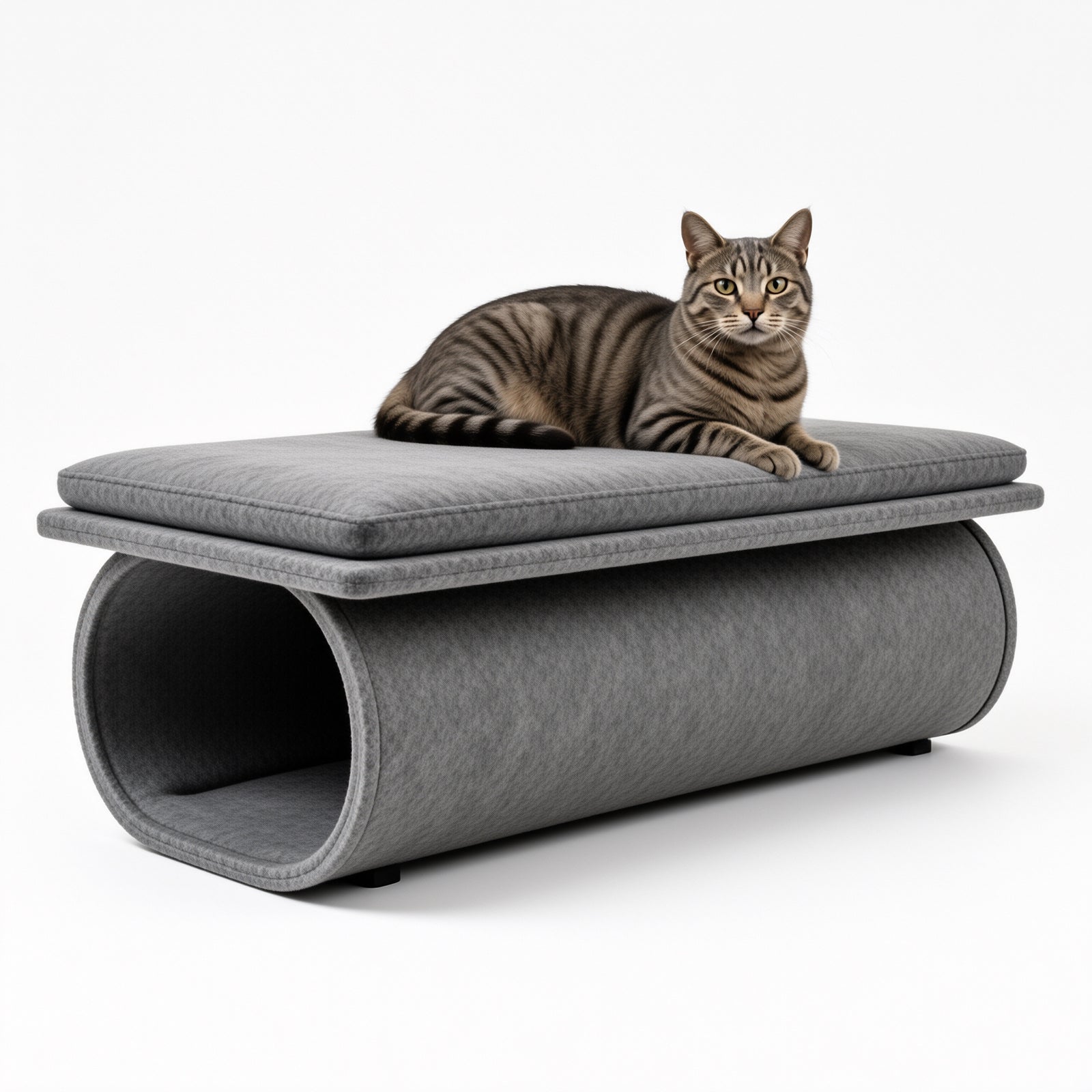 Felt Cat Tunnel Sofa and Bed — lifestyle image