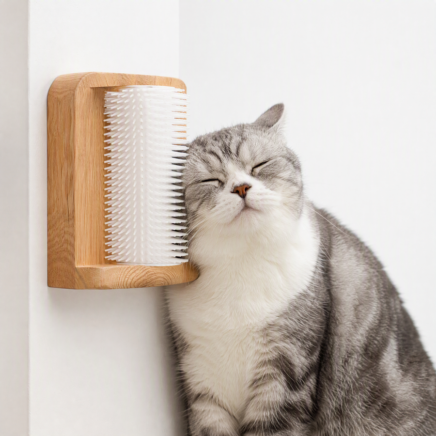 Wooden-Base Cat Self-Grooming Brush — main image